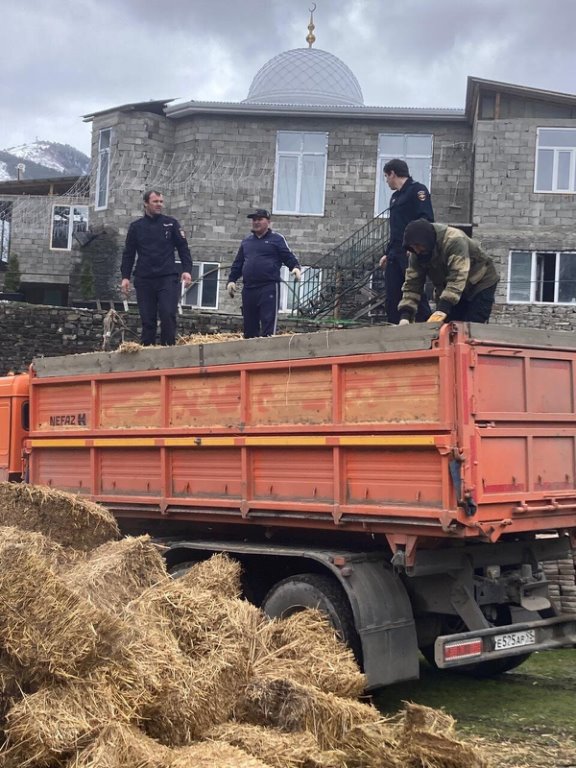По поручению министра внутренних дел Республики Дагестан Абдурашида Магомедова сотрудники Ногайского РОВД доставили в Тляратинский район два КамАЗа сена для жителей, пострадавших от последствий недавней непогоды